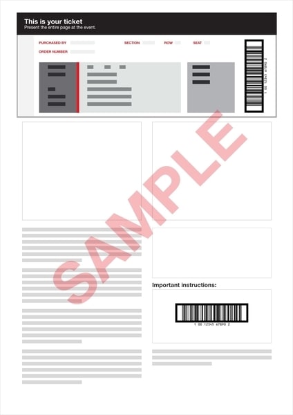 PDF ticket example